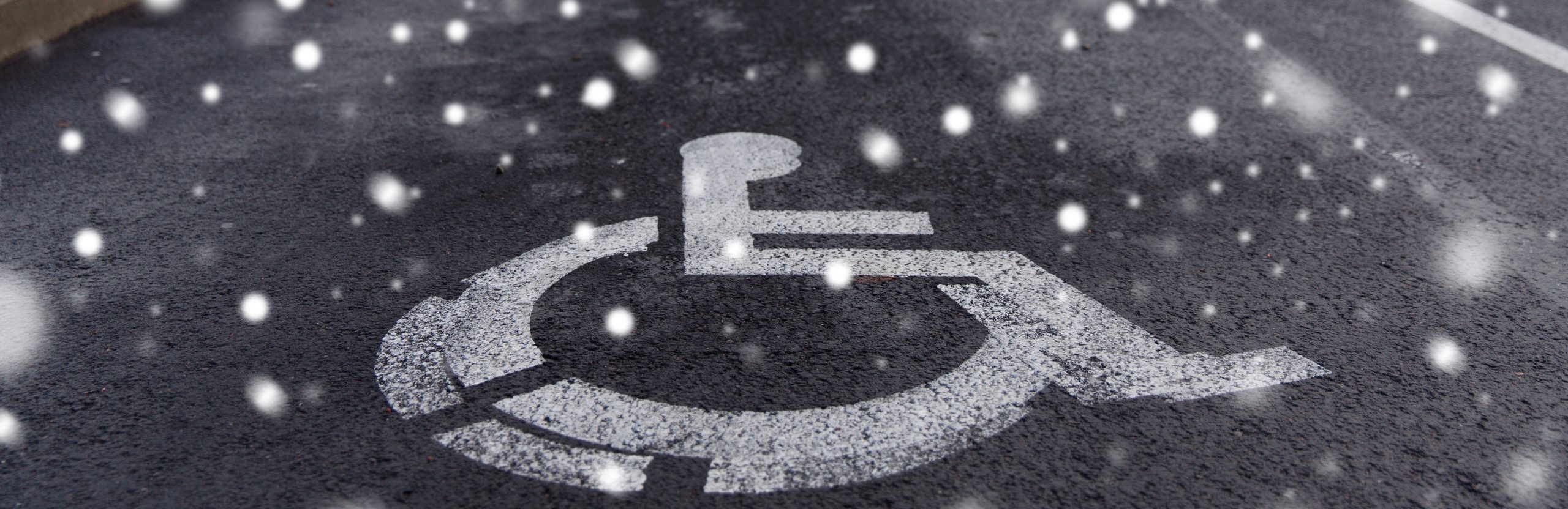 Handicap logo with snow fall