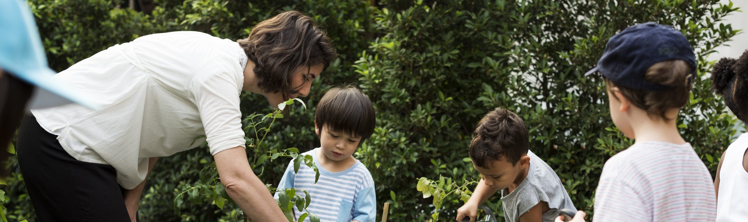 Photograph of woman helping children garden